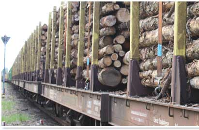 Zug beladen mit Holz